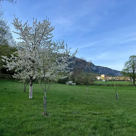 Apartment Hoeflein *