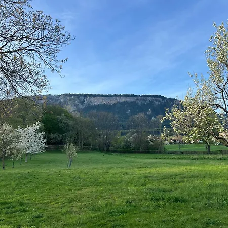 Apartment Hoeflein *